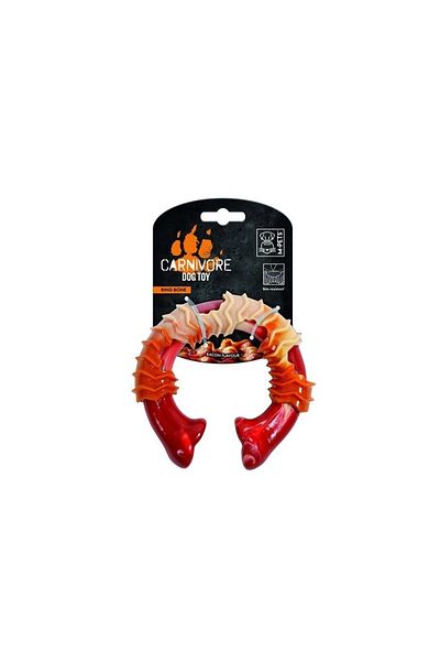 AquaHome Carnivore Ring Bone Hard Dog Play Bone