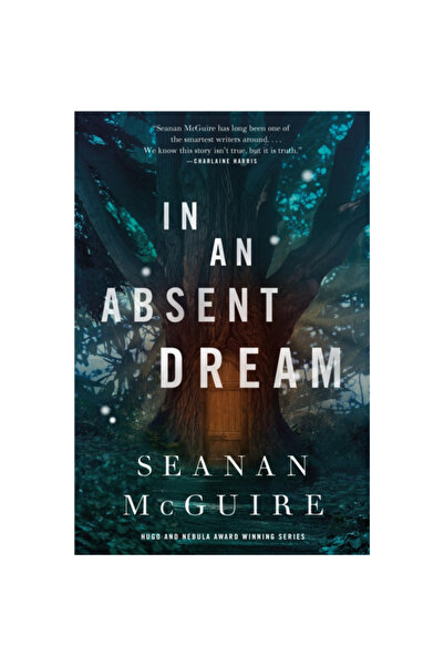 Tor Books St Martins Pr Inc In an Absent Dream