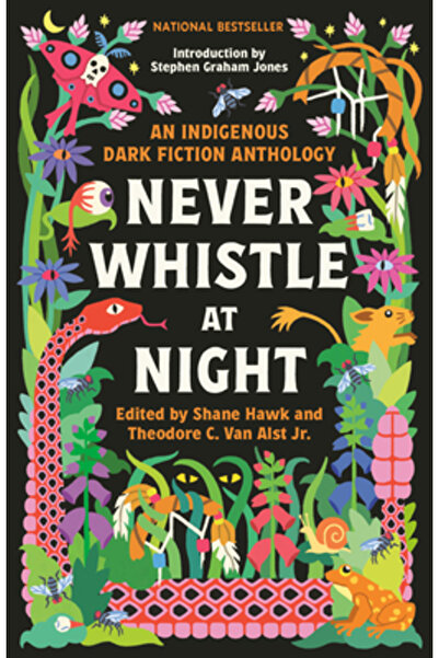Vintage Never Whistle at Night: An Indigenous Dark Fiction Anthology