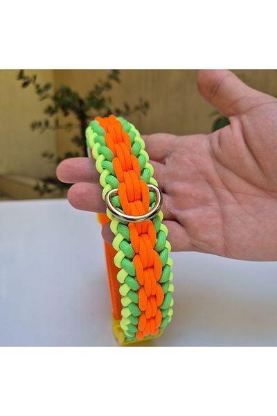 77 Bunny Dog leash