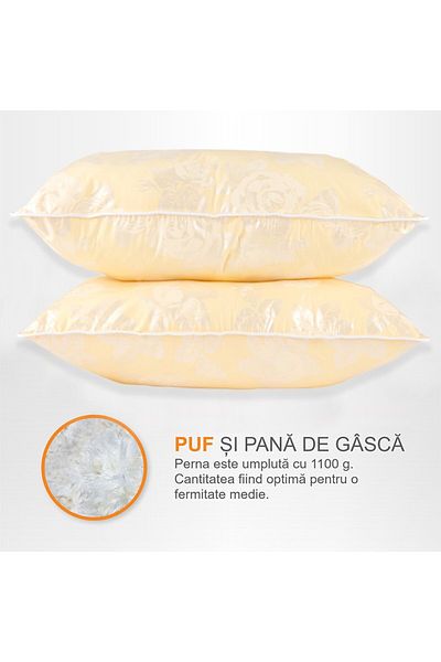 Pernador Set of 2 goose down and feather pillows, 50x70 cm, Cream with silver roses