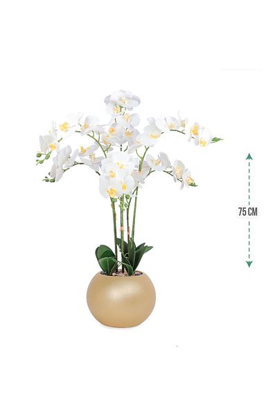 co arma Artificial orchid (2 branches) in a round plastic container