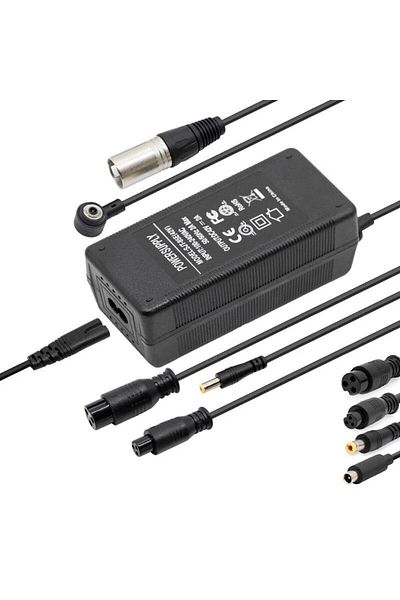 eWheel Electric scooter charger with GX16, GX12, DC 5x2, 1mm, XLR plugs 52V 2A