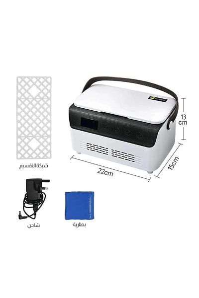 rexa Portable Mini Refrigerator with Leather Handle