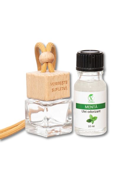 XTERRA CAR FRESHENER | DIFFUSER BOTTLE AND MINT OIL SET | 10 ml