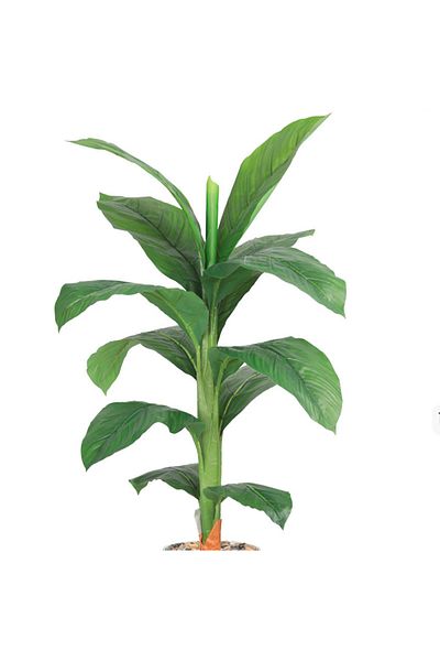 co arma Share the product via: Banana leaf tree, one branch, with a plastic cylindrical stand, with a ceramic pattern.