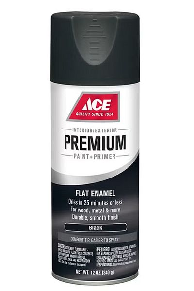 ACE Spray Paint Flat Black