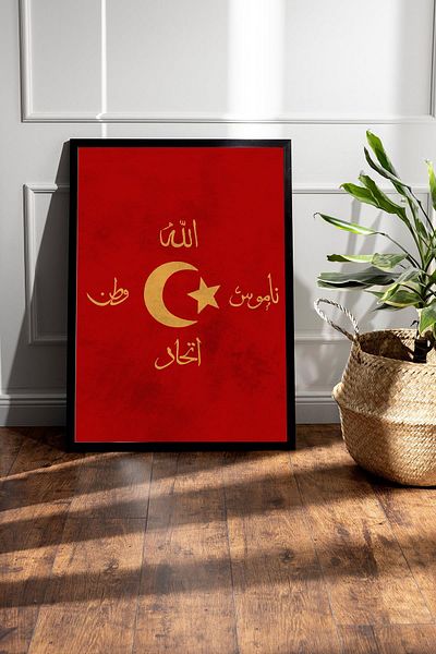 Saturn Unity Terakki Sancağı Flag Framed Painting