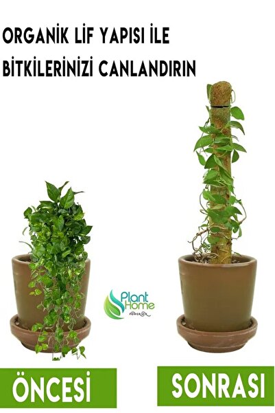 kolyosmarket 60 cm Coco Bitki Destek Sopası - Hindistan Cevizi Lifi Sarılı Do...