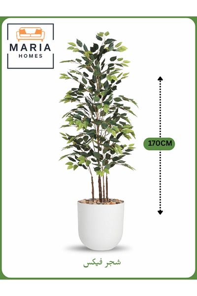 MARIA HOMES Artificial Ficus Tree 170 cm – Decorative Indoor Plant with white Pot