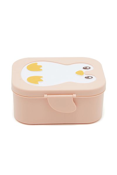 R&B Pink Lunch Box
