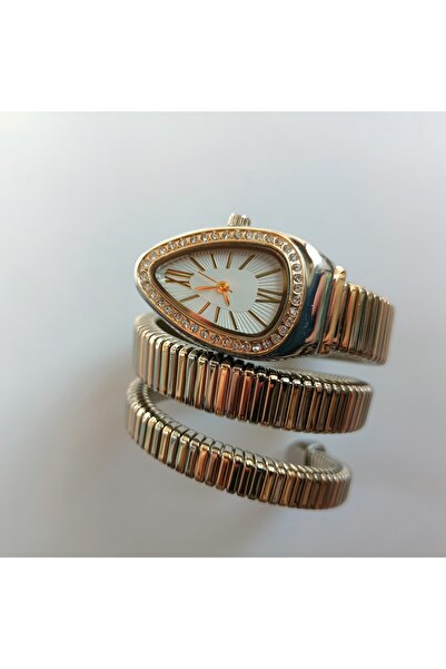 QUARTZ Snake Model Luxury Women's Wristwatch with Double Color Band