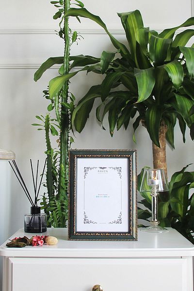 Raven Art Studio Louvre 15cm X 21cm Picture, Photo, Document, Poster, Paper Frame. Protected Shatterproof Plexiglass