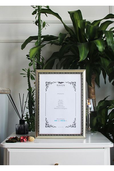 Raven Art Studio Louvre 21cm X 30cm Picture, Photo, Document, Poster, Document Frame. Protected Shatterproof Plexiglass