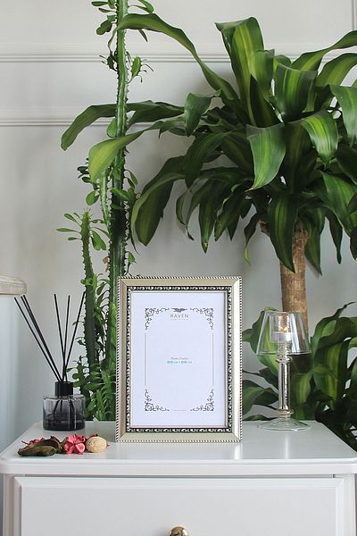 Raven Art Studio Louvre 15cm X 21cm Picture, Photo, Document, Poster, Paper Frame. Protected Shatterproof Plexiglass