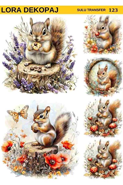 Lora Dekopaj Sulu Transfer Kağıdı - 123 25×35 cm