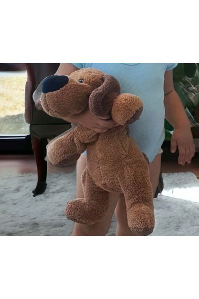 Ece Genç Big Nose Dog Sleeping and Playmate Plush Pillow Toy