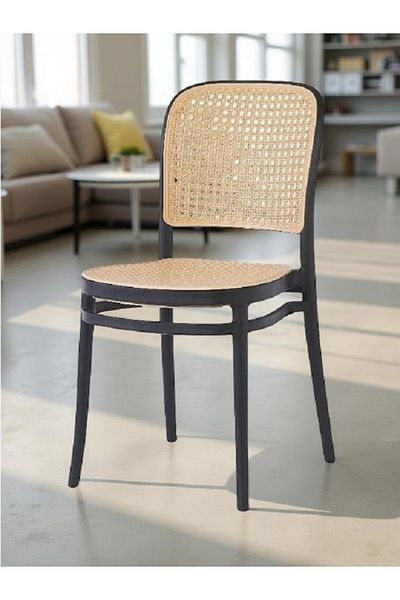 rexa Dining table chair