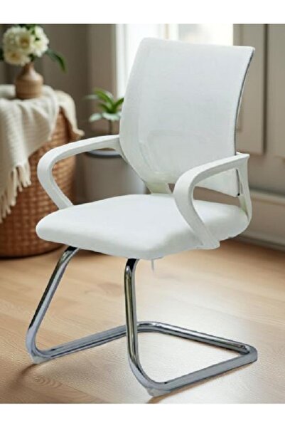 rexa Stylish Modern Office Chair