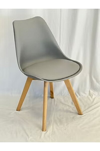 rexa Decorative Dining Chair