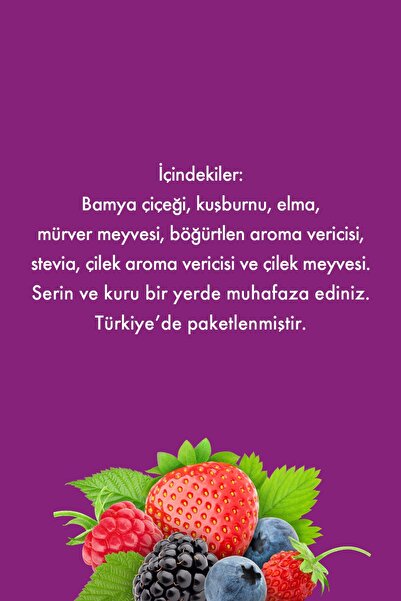 Mesh Stick Orman Meyveli Bitki Çayı Karışık Meyve Çayı 16'lı 2 gr