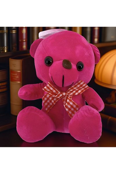 rexa Soft Teddy Bear Plush Toy – Cuddly Stuffed Animal for Kids – 22 x 15 x 17 cm