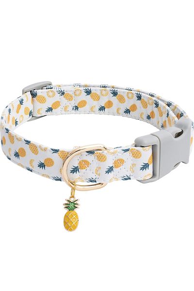 Choice L white CP602/611--fruit pattern Pet dog collar with Fruit metal pendant do for Cat Puppy Dog