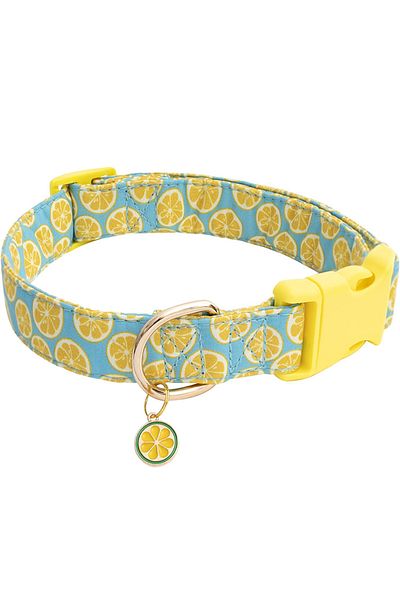 Choice S yellow CP602/611--fruit pattern Pet dog collar with Fruit metal pendant do for Cat Puppy Dog