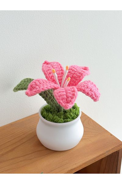 Choice Rose Red Flowers Hand-Knitted Lily Potted Delicate Crochet Woven Flowers Pot Mother's Day Gift