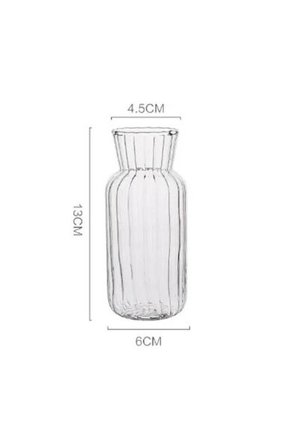 Choice G2065B 1PC Scandinavian Transparent Vase Plant Vase Flower Pot Hydroponic Plant Container Desktop Va