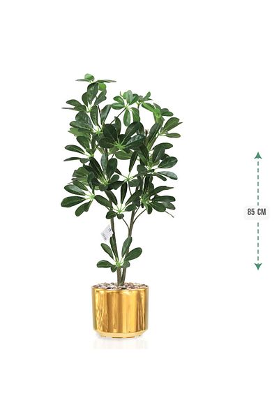 co arma Artificial Schefflera Plant in Green Plastic Pot