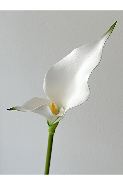 Choice 3 قطع بيضاء 1/3 قطعة عالية الجودة من زهور اللوتس الاصطناعية على شكل حد...