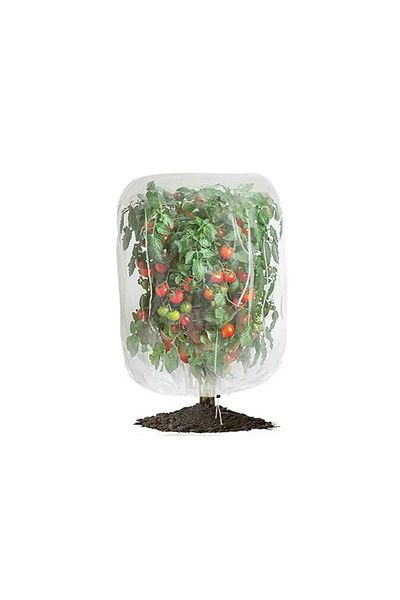 Choice 70x100cm White Protection Bags for Plants Cover Mesh Netting for Tree Vegetable Strawberry Grapes Pe