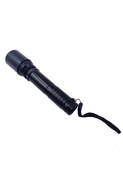 dalimag Lanterna cu Electrosoc, Aprindere pe Buton, Incarcator, Agatatoare, Negru, 19 cm