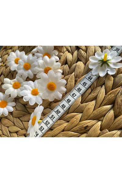 HİMENİSA Daisy Flower 50 τμχ