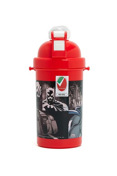 R&B Silver Bts Boys Water Bottle Fs