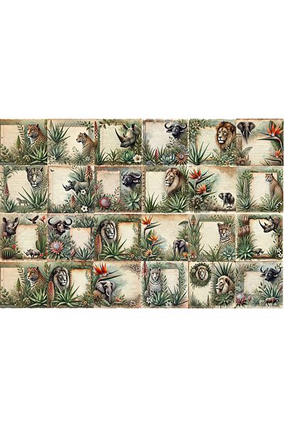 TELLGRAF مجموعة ملصقات سفاري (21 × 30 سم مجموعة واحدة)