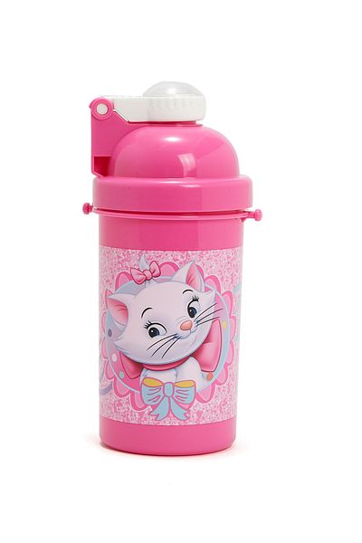 R&B Pink Bts Girls Water Bottle Fs