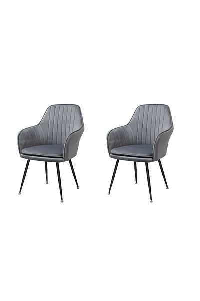 ARTA DOOR Set of 2 Coral Chairs, HoReCa, Kitchen, Living Room, Office, Bedrooms, Hallways