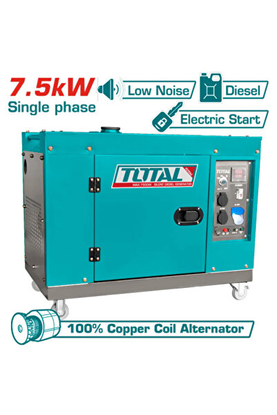TOTAL Total TP27500158-1 7.5kw Diesel Generator