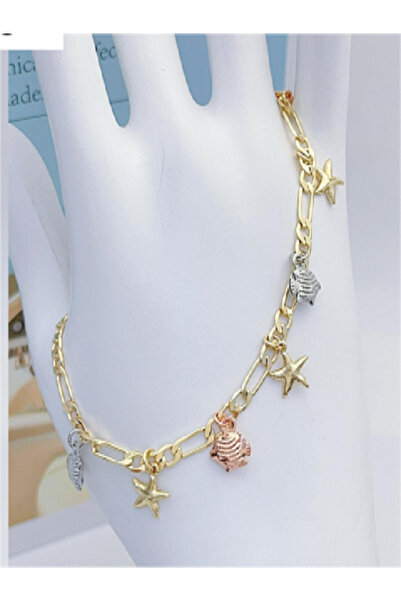 çelik takı design سوار أنيق على شكل نجمة وقشرة من الفولاذ المقاوم للصدأ باللو...