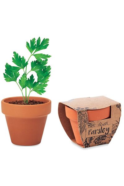 dalimag Kit Gradinarit, Ghiveci de Teracota cu Seminte de Patrunjel, 5x6x5.5 cm,