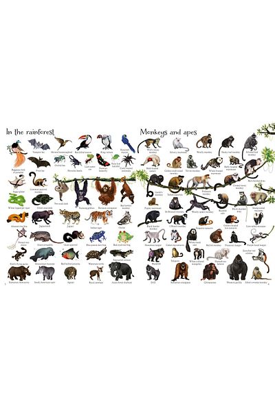 Usborne Children's book - 1000 Animals