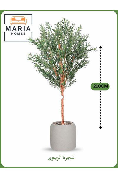 MARIA HOMES Artificial Olive Tree 210 cm – Tall Decorative Tree Beige in Pot