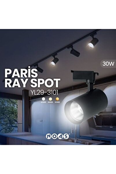 Noas Paris Ray Spot Siyah Kasa 2700lm-4000K
