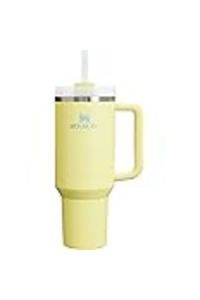 Stanley Quencher H2.0 FlowState Stainless Steel Vacuum Insulated Tumbler with Lid and Straw for Wate