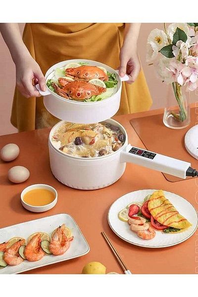 Saharaz 2L Multi Function Pot,With Stainless steel Steamer and Non-stick Pot Liner,for Various Cooking Way