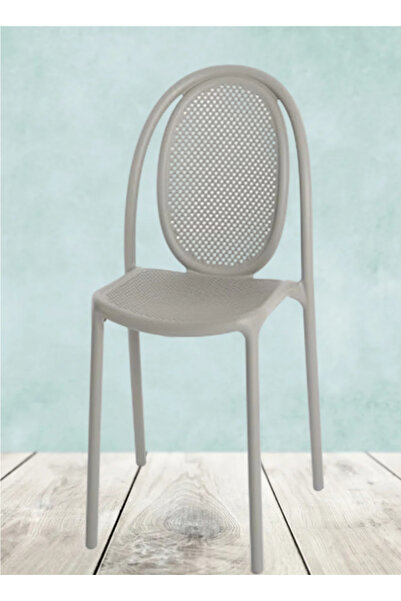 rexa Chair With Elegant Design