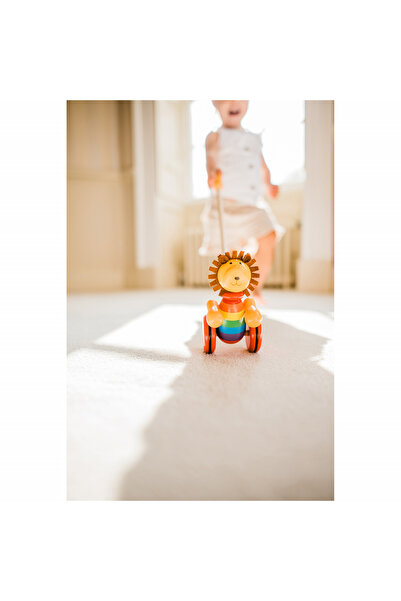 Orange Tree Toys Lion push toy