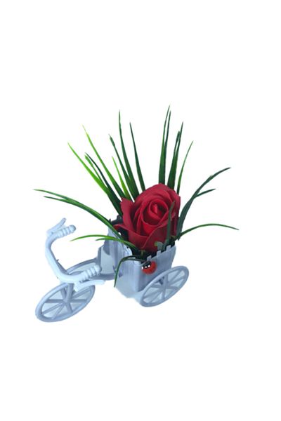 dalimag Aranjament Floral, Bicicleta Mov, Trandafir Rosu, Parfumat, Buburuza,